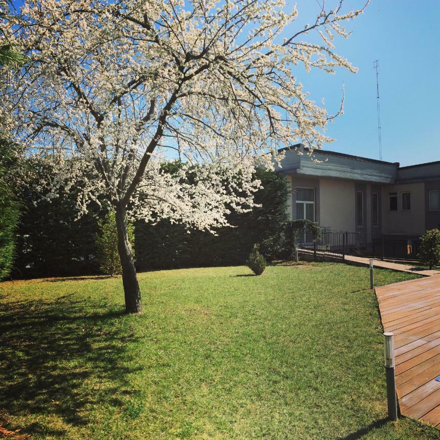 Hotel Villa Cinzia Villanova Mondovì Exterior foto